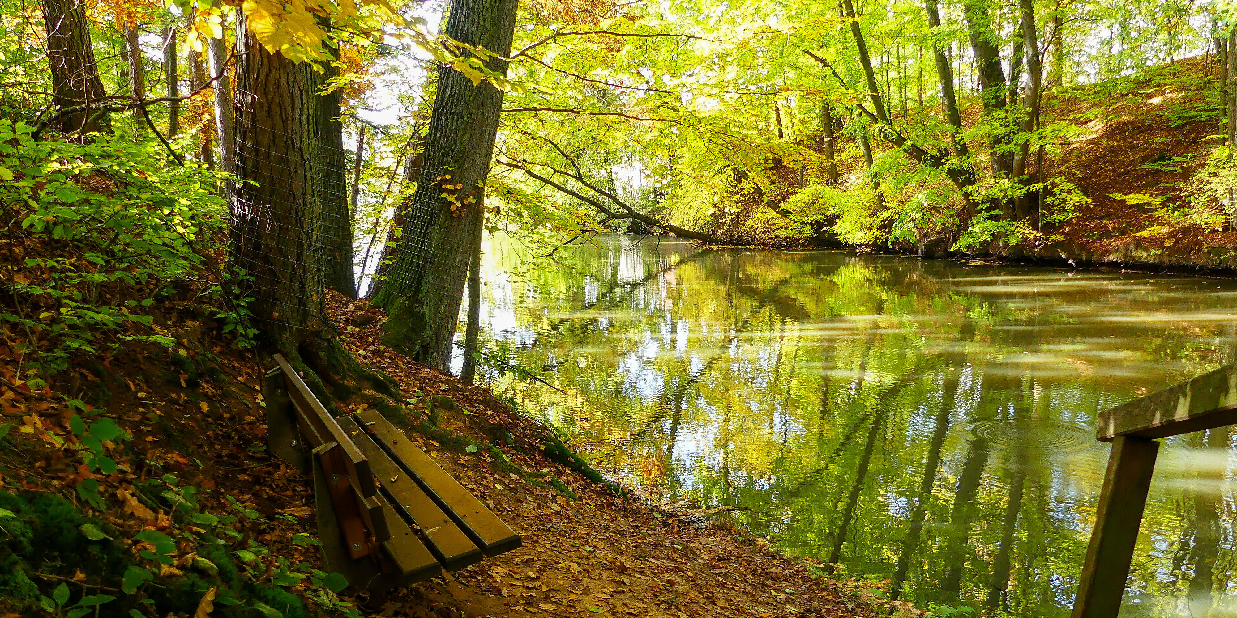 Altmühl fließt durch einen Laubwald, Sonnenlicht scheint durch das Blätterdach, eine Bank lädt zum Verweilen ein
