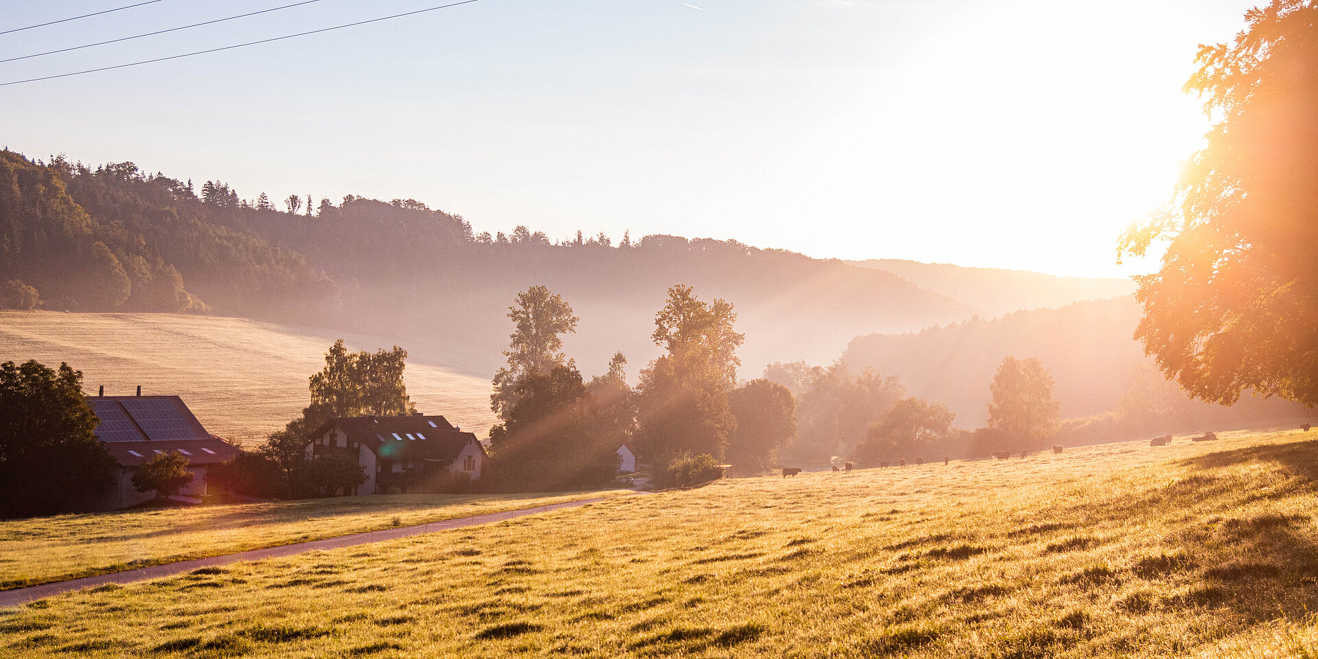 Hügeliges Gelände im Altmühltal mit Laubbäumen, weite Wiese, Sonnenaufgang bei Nebel, ein Schwarm Vögel zieht am Horizont vorbei